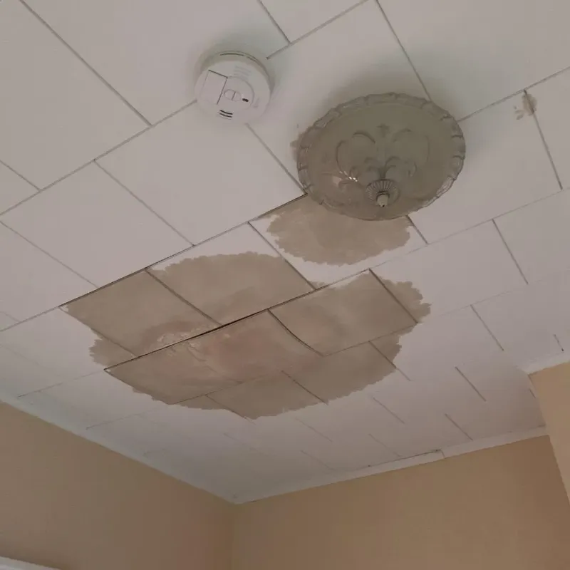 Ceiling Water Damage Repair in Duxbury, MA