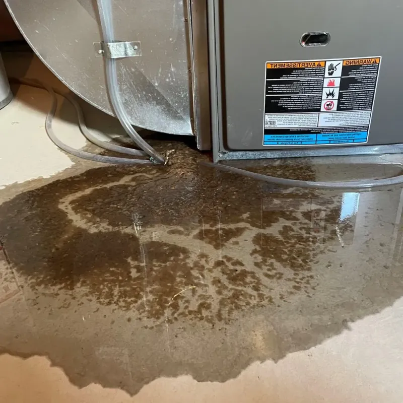 Pipe Burst and Leak Restoration in Duxbury, MA